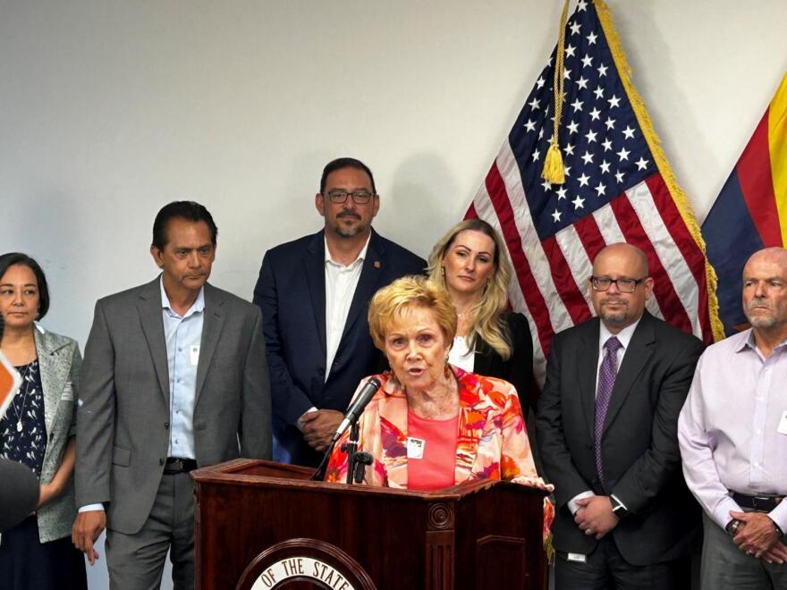 Hellen Purcell is pictured in a floral pink and red jacket, standing behind a podium and addressing a crowd of reporters.
