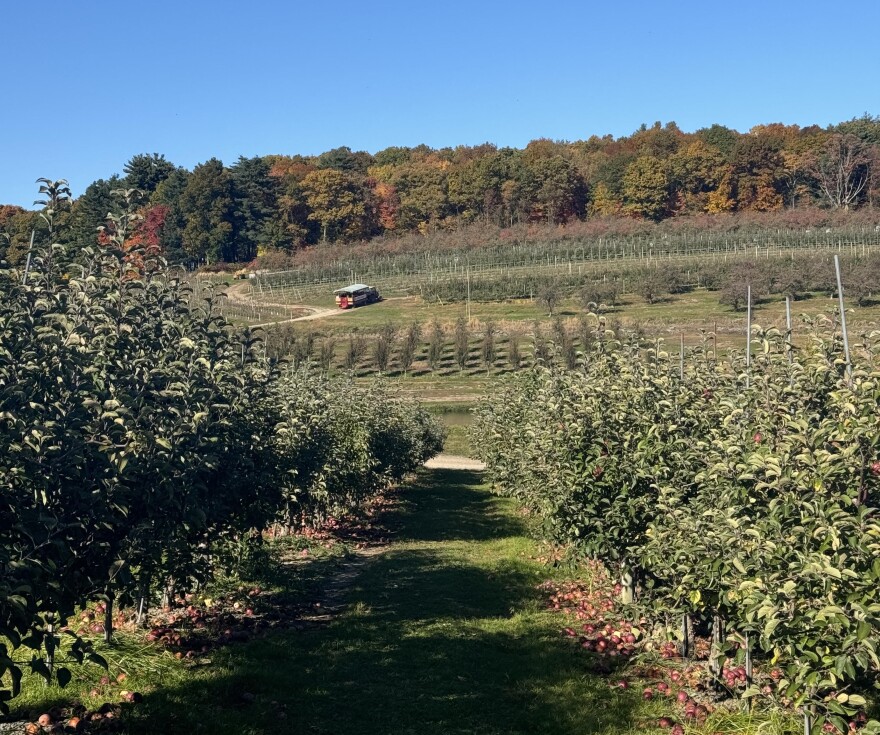 A new Penn State study found a ‘hotspot’ of melanoma cases in central Pennsylvania, where there is a high amount of cultivated land.