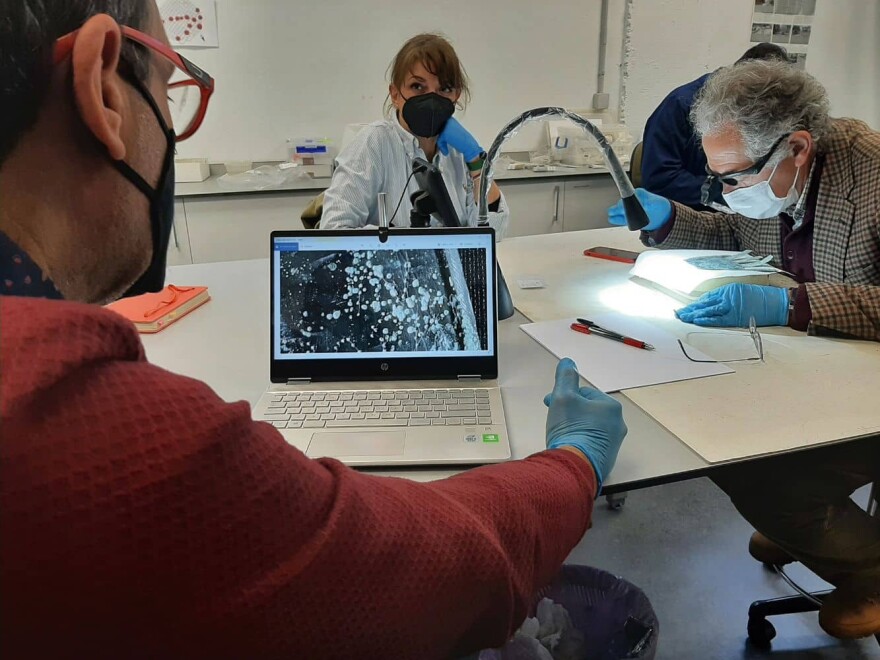 Javier Velaza, one of the linguists analyzing the hand, speaks at a press conference in November 2022. The discovery of the oldest example of written basque in the world, found in the heart of basque country, upends experts' understanding of the language. (Courtesy of SC Aranzadi)