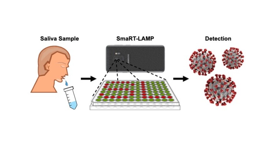 The system developed by researchers uses a special solution and a smartphone to offer low cost home PCR COVID-19 testing.