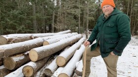 Brett McLeod, forestry professor at Paul Smith's College, has collected more than 200 axes. (David Sommerstein)