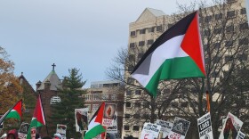 Dozens of people gathered outside the Michigan state Capitol and governor’s mansion calling for a lasting ceasefire between Israel and Hamas.