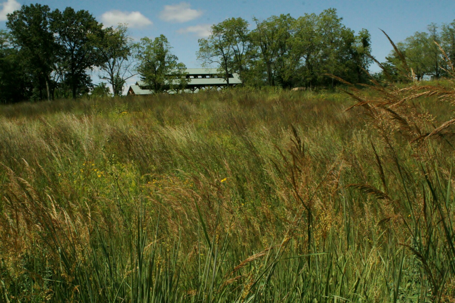 Restoring the prairie, Missouri's endangered habitat STLPR