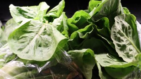 The state health department says anyone who has eaten lettuce products from early June to July 20th and has severe or persistent diarrhea should consider getting tested for a cyclospora infection.