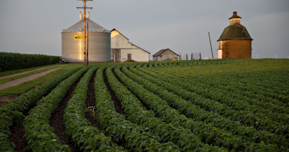 Report: Indiana farmers lost $607M in exports during latest China trade dispute