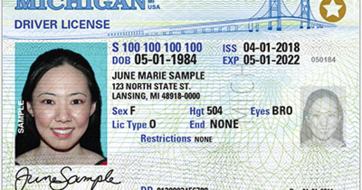 Mobile Michigan ID bills moving through Senate committee process