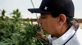 Beyond the potential revenue that recreational marijuana will bring to the Eastern Band of Cherokee, Lee Griffin with Qualla Enterprises says the company will bring jobs to the Qualla Boundary.