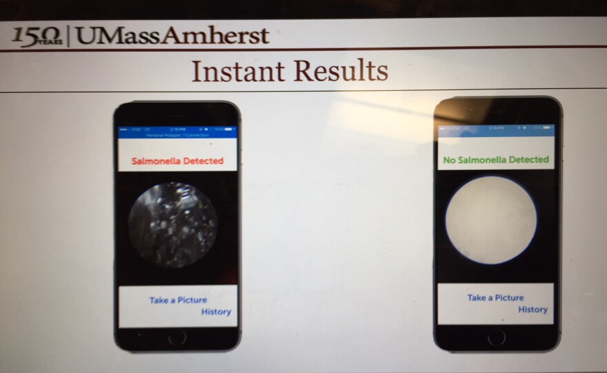 Images from a new app to detect food bacteria.