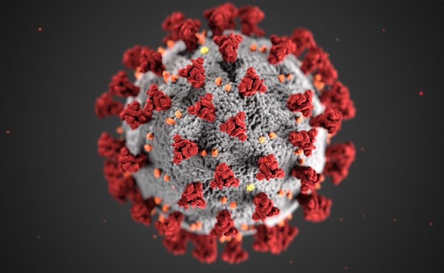 An illustration created at the U.S. Centers for Disease Control and Prevention conveys a likeness of the coronavirus that's behind the current pandemic.