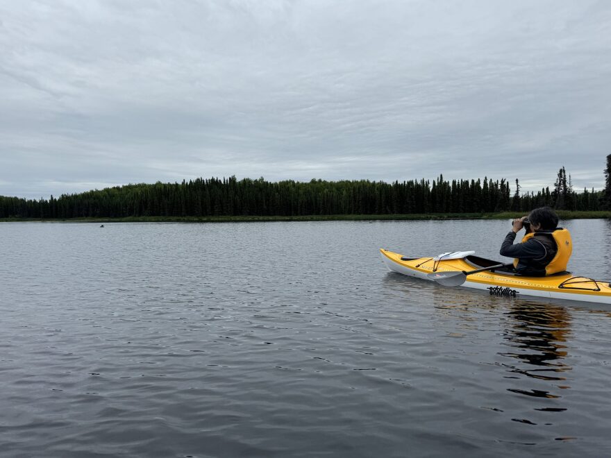 A woman holds binoculars to her eyes as she sits in a kayak on a lake. 
