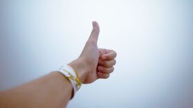 Author Derek Thompson says popularity has to do with a combination of familiarity and distribution. (Pixabay)