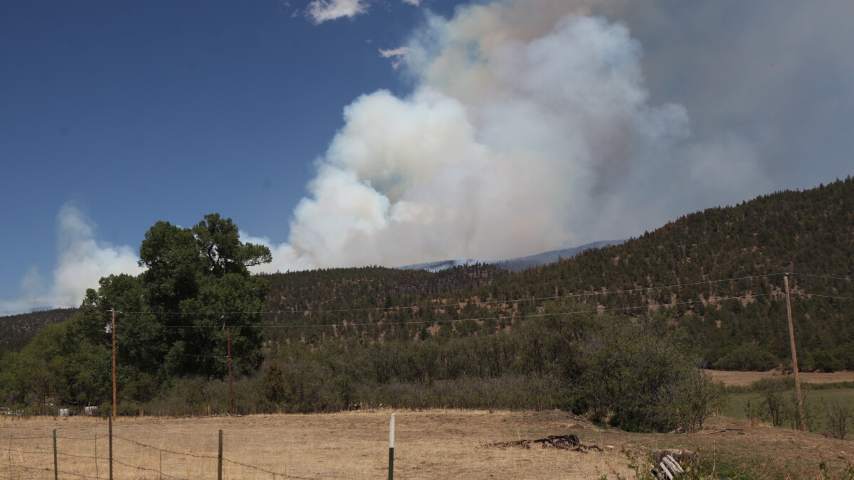 U.S. Forest Service conducting prescribed burns in New Mexico despite red flag warnings - Vimarsana News