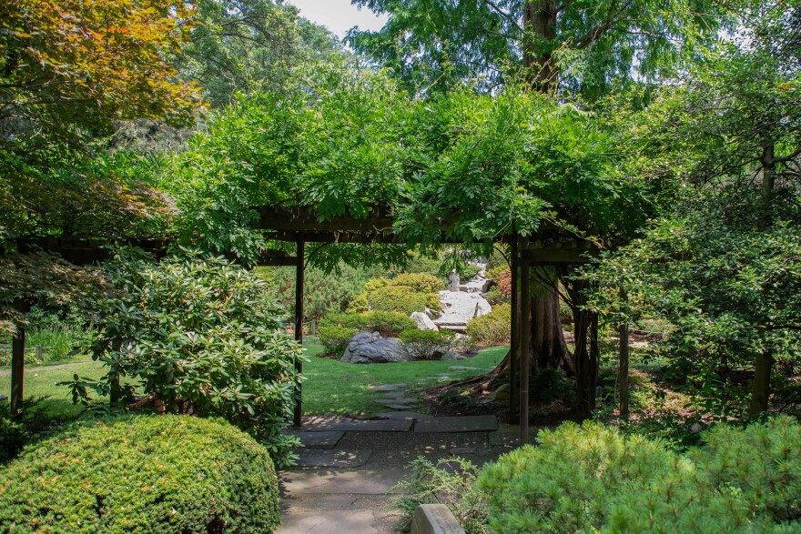 The Cleveland Botanical Garden's beloved Japanese Garden welcomes visitors into a world of calming, natural beauty on July 10, 2025. As the garden turns 50, guests are encouraged to further appreciate the Gan Ryuu Tei, or "Rock Steam Garden," through September 1.