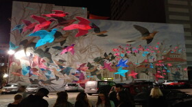 A mural honoring the last Passenger Pigeon at 7th and Main was one of the projection mapping locations in 2017.