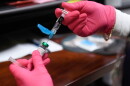 FILE - Anna Hicks prepares a measles, mumps and rubella vaccine at the Andrews County Health Department, Tuesday, April 8, 2025, in Andrews, Texas.