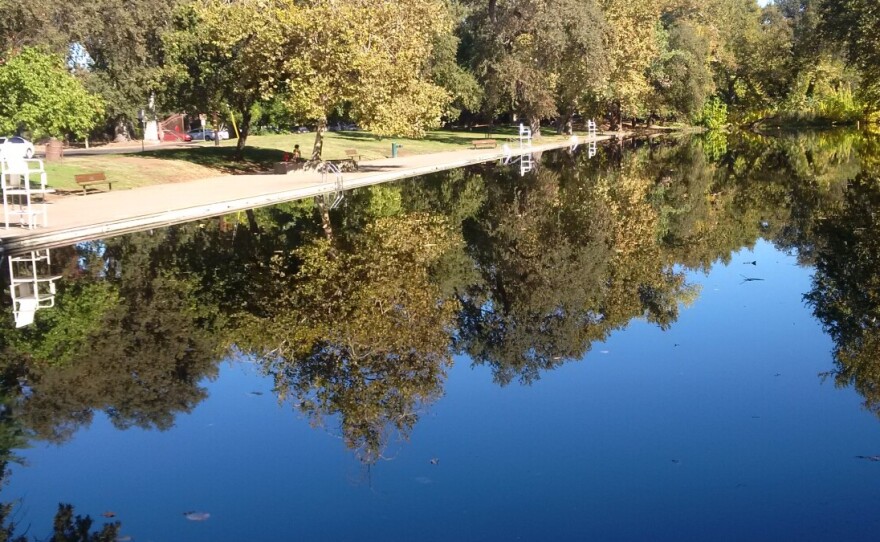 Sycamore Pool