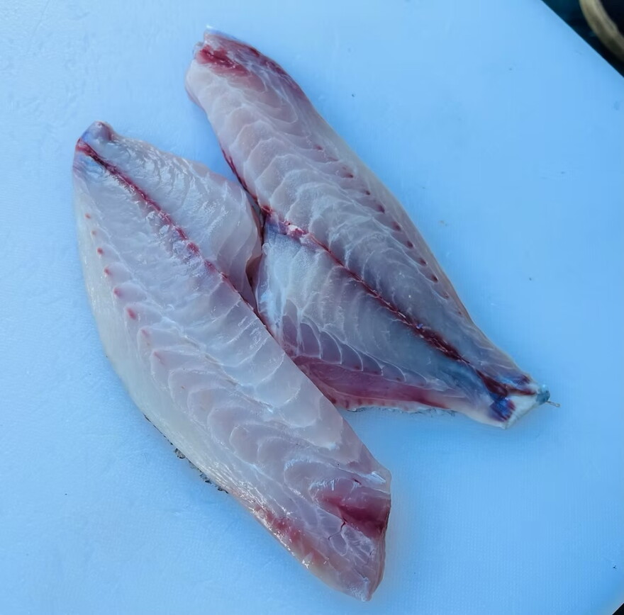 Scup fillet