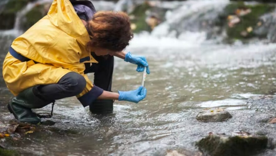 PFAS, often used in water-resistant gear, also find their way into drinking water and human bodies. (Photo by CasarsaGuru via Getty Images)