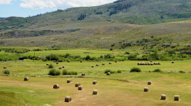 Hay bales lie in pastures in front of foothills to mountains.