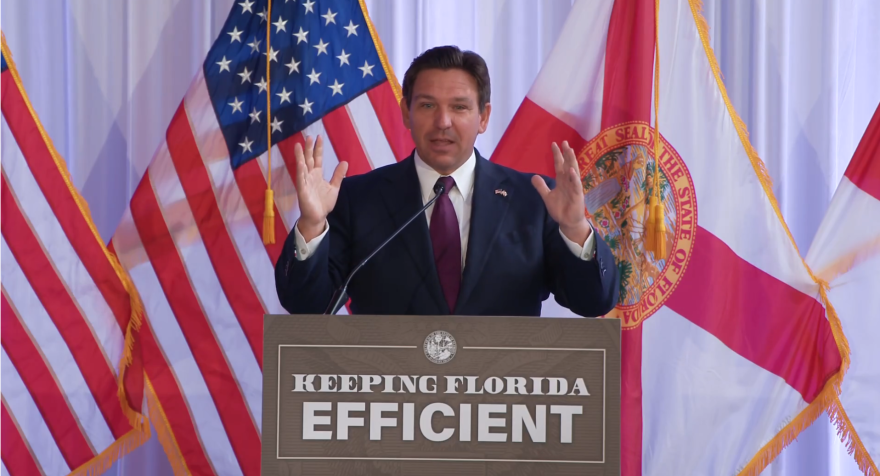 Governor Ron DeSantis talks about Florida's answer to DOGE.