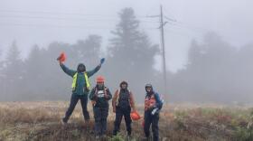 Cal Poly Humboldt researchers conduct field research in a foggy field along a powerline corridor in Northern California. Photo courtesy of Lucy Kerhoulas.