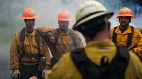 Three people in yellow firefighter gear face the camera while a fourth person has their back to the camera, facing the other three.
