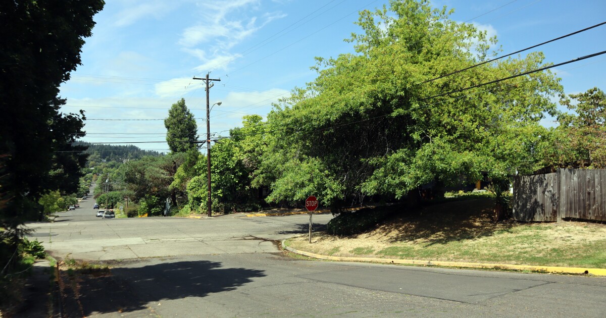 Power outages could be more common in parts of Eugene as EWEB tries to avoid sparking wildfires