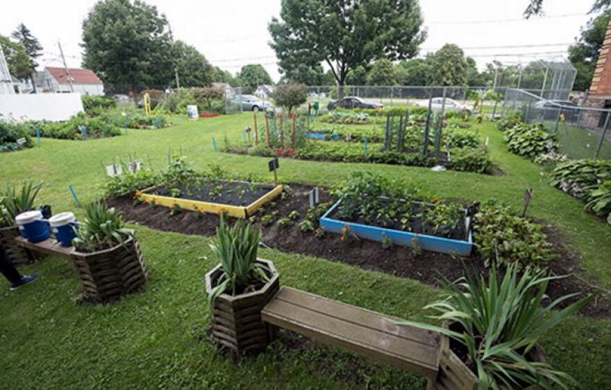 Children's Garden on First Street