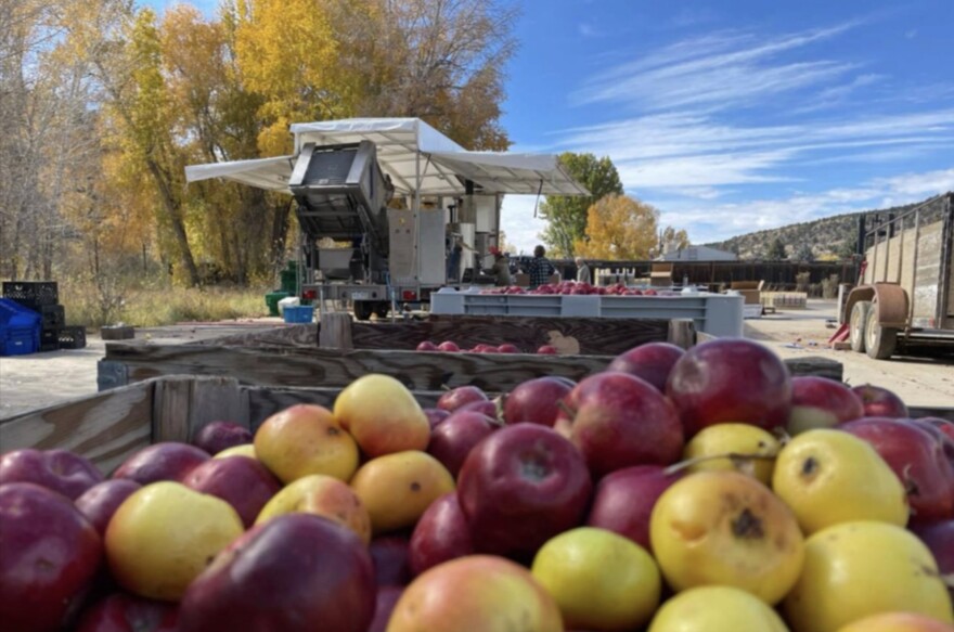 The Montezuma Orchard Restoration Project acquired a mobile juice to create a market for small-scale apple growers in western Colorado.