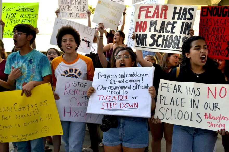 Local high school students wave signs and chant, "You are responsible," "we are not responsible" and "enough is enough" at a rally on Saturday in Fort Lauderdale./Photo: Jessica Bakeman / WLRN