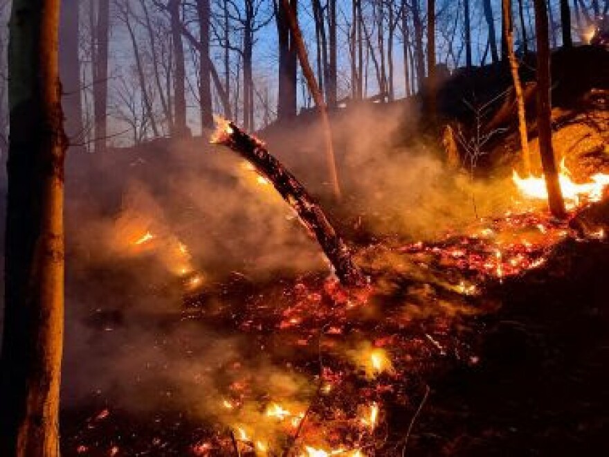  A weekend wildfire in Patterson, Putnam County