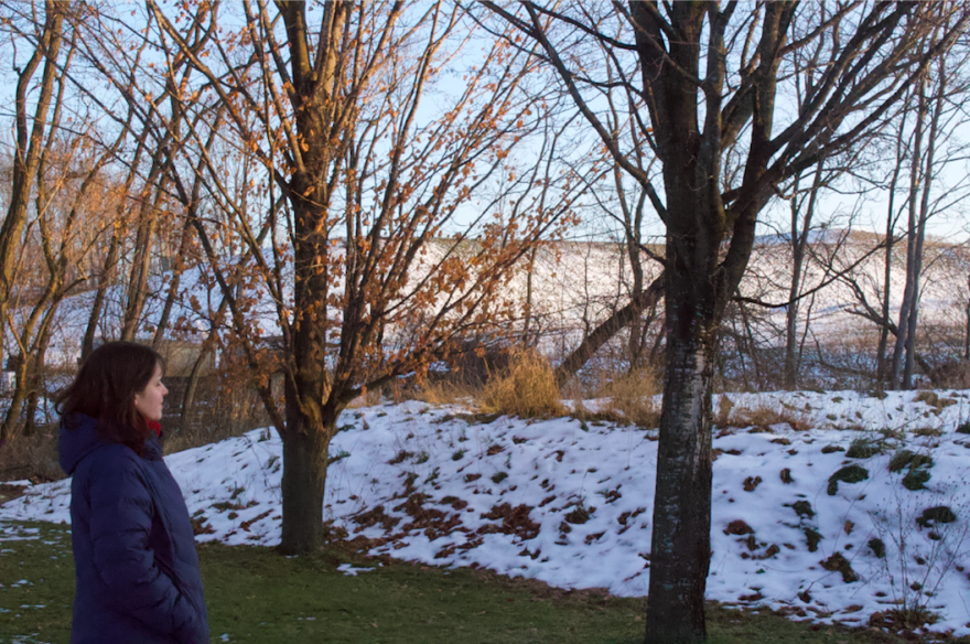 brianne bee looking at lot behind house