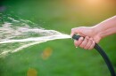 Woman hand holding rubber water hose and using finger close end of rubber water hose to make water spray with sunlight and green grass field in background. World Water Day conpect.