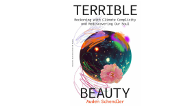 Terrible Beauty