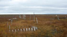 As the permafrost thaws, Kongiganak’s cemetery is turning into swampland. Community members are now laying their loved ones to rest on raised platforms above ground. (Photo Teresa Cotsirilos/KYUK)