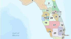 The Florida Senate's proposed congressional district maps would give Democrats an extra favorable seat, while maintaining the GOP's advantage. (Floridaredistricting.Gov/SCREENSHOT)