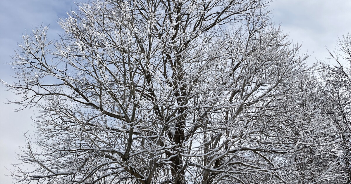 First Day Hike at Schoharie Crossing | WAMC