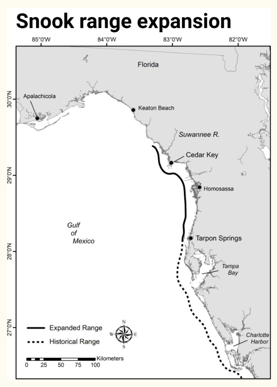 Map of historic and expanded range of snook on the Gulf coast of Florida. (Courtesy of Caleb Purtlebaugh)