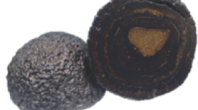 Polymetallic nodules found on the seabed floor contain nickel, copper, cobalt, manganese, rare earth elements, and possibly titanium, tellurium and lithium.