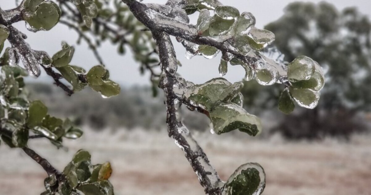 Winter weather advisory dropped for South Central Texas, with ...