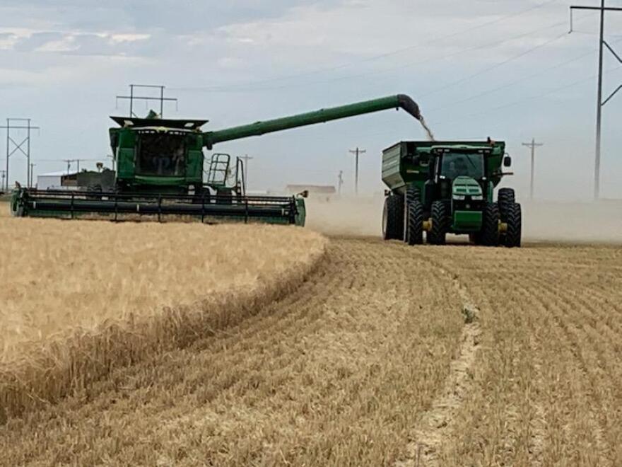 A large green tractor plows a golden wheat field.