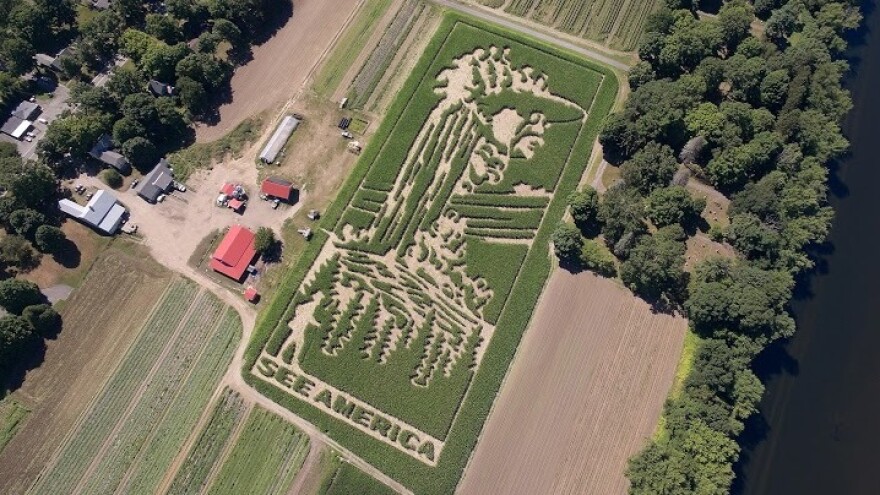 The theme of Mike's Maze this year is "See America," which commemorates the 100th anniversary of the National Park Service.