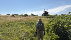 Alpha-gal syndrome has become increasingly common on Martha's Vineyard and Nantucket in recent years.