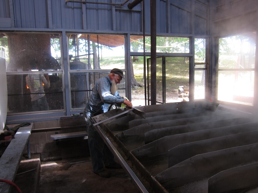 sorghum_4.jpg