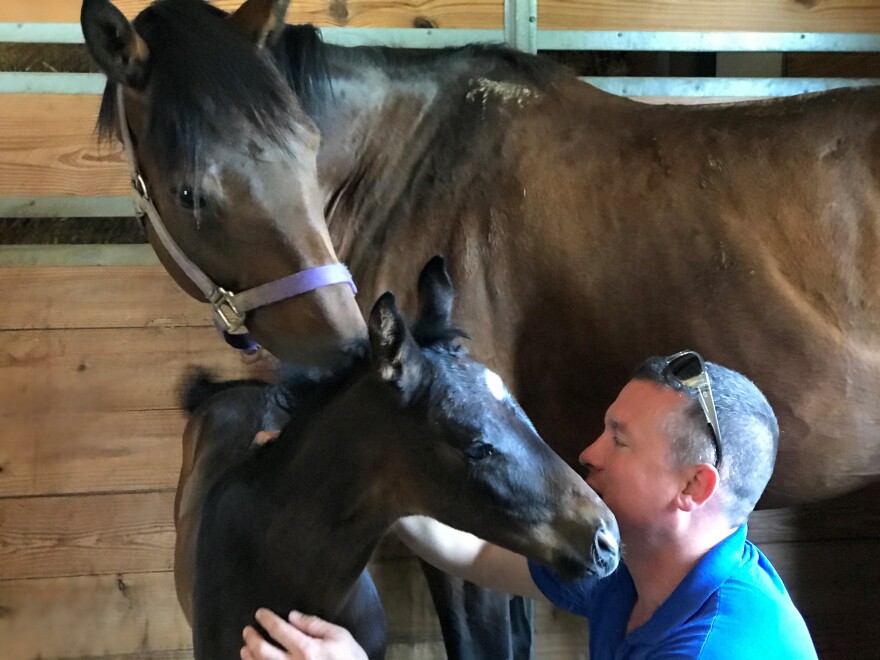 John Funkhouser tends to a young foal with its mother.
