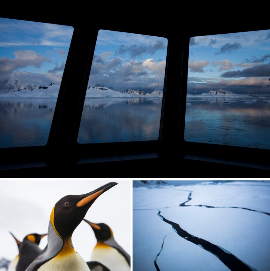 Top: From the National Geographic Explorer ship, a view of Wilhelmina Bay as the sun starts to brighten the sky. Left: Curious king penguins waddle over â some close enough to peck at camera lenses â at St. Andrews Bay on South Georgia island. Right: Long black ribbons of cracks extend from the bow of the ship as it moves through the sea ice.