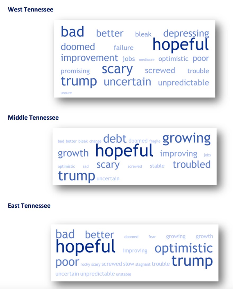 tn_consumer_outlook_word_clouds-june_2017.jpg