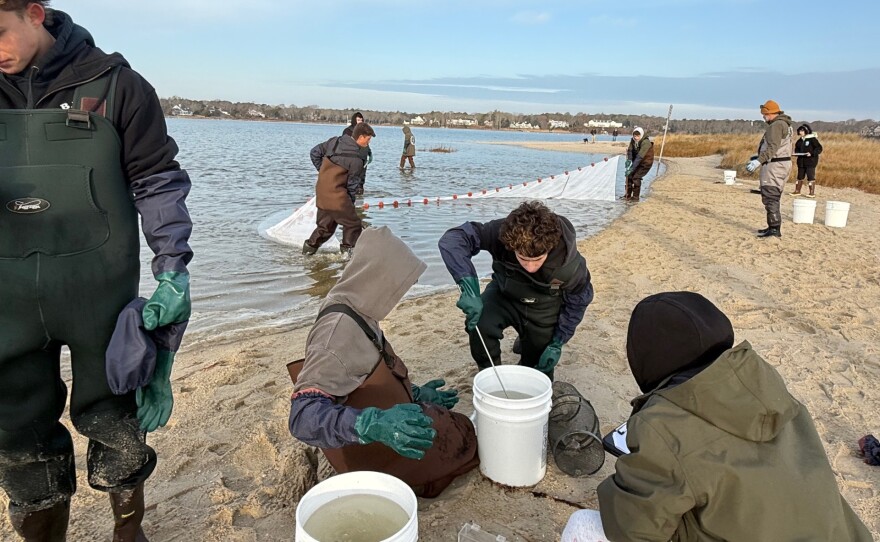Students wearing waders and gloves, working with buckets and a net on a beach.