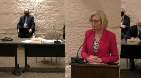 State Health Commissioner Dr. Kris Box testifies in a Senate committee hearing about the governor's emergency powers.