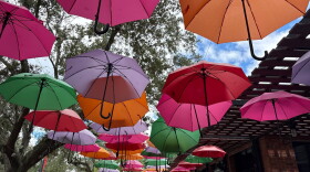 Colorful umbrellas hang outside KavaGator near Bo Diddley Plaza in Gainesville. Café owner Julia Brensel said she calls downtown ambassadors when an umbrella turns upside down and she cannot fix it herself. “They will come in and fix it,” she said.
